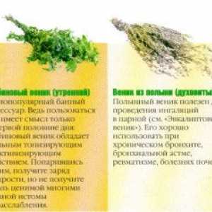 Tvorba aromatických dubové metla pre kúpele