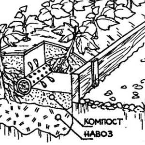 Drevené postele box: Výhody, stavebníctvo