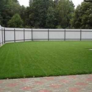 Lawn grass - šperky predmestskej oblasti
