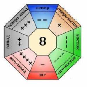 Charakteristika gua 8
