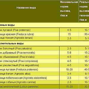Lawn: výsadbu a starostlivosť vlastnými rukami