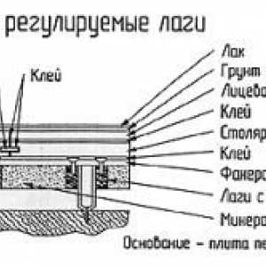 Ako je lakované parkety vlastnými rukami