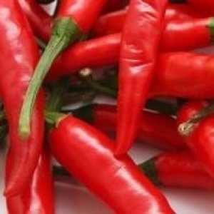 Ako pestovať chili na svojich stránkach?
