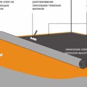 Linoleum alebo laminát: je lepšie a lacnejšie?