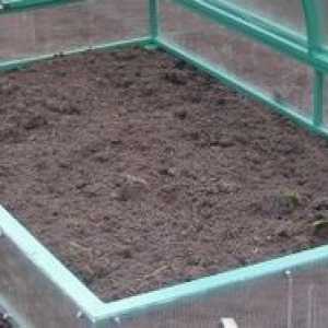 Greenhouse ako chleba koša