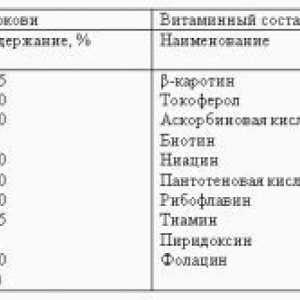 Zásady uchovávania mrkvu úrodu v pivnici