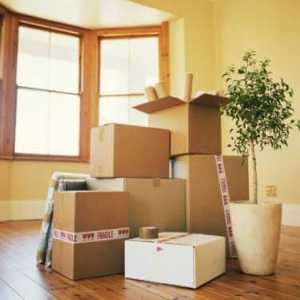 Známky pohybujúce sa Feng Shui: ako nepríjemné to ticho?