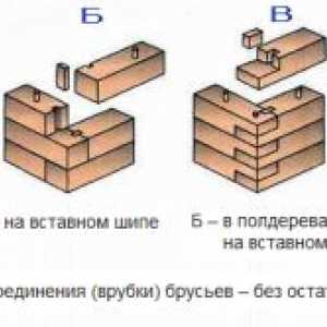 Projekty vidieckych domov z baru s arkierom