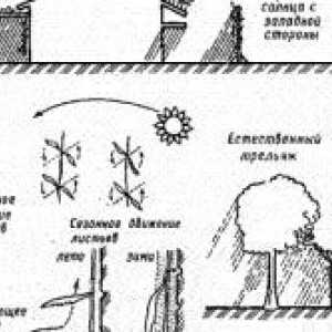 Metódy pre ozelenenie svoj domov