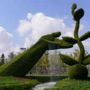 Topiary - zelený majstrovská