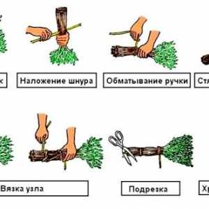 Metla pre kúpele: najmä výroby a použitia