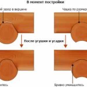 Druhy a vlastnosti zrubov
