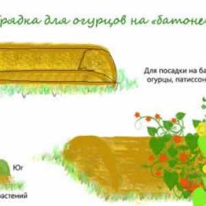 Všetko o záhradné úpravy