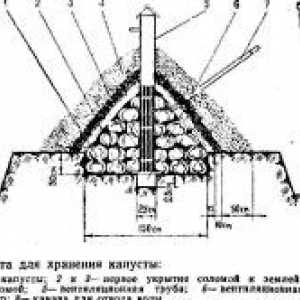 Prezimovanie zeleniny v chladnom pivnici